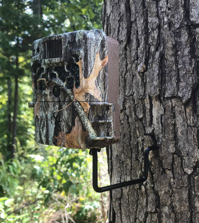 Do Trail Cameras Need Wi-Fi?