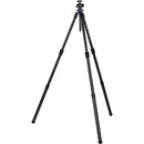ZEISS Pro-Series MAX-DUTY L Tripod Kit with L-55 Ball Head