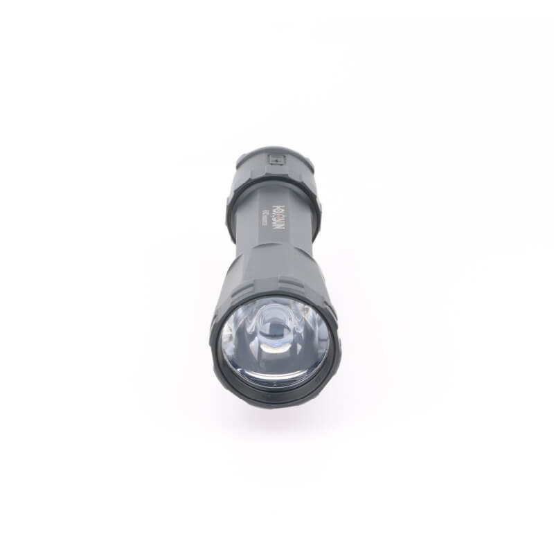 Holosun Raid Weaponlight Illumination