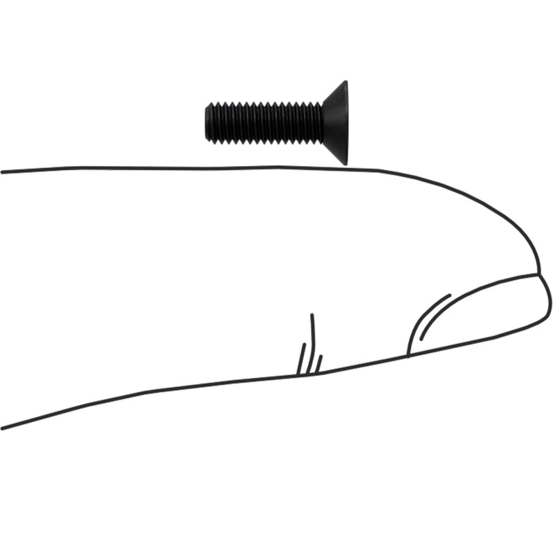 Screws for Holosun EPS Carry - to fit Sig P365x/ XL / XMACRO /365-380/322-Optics Force