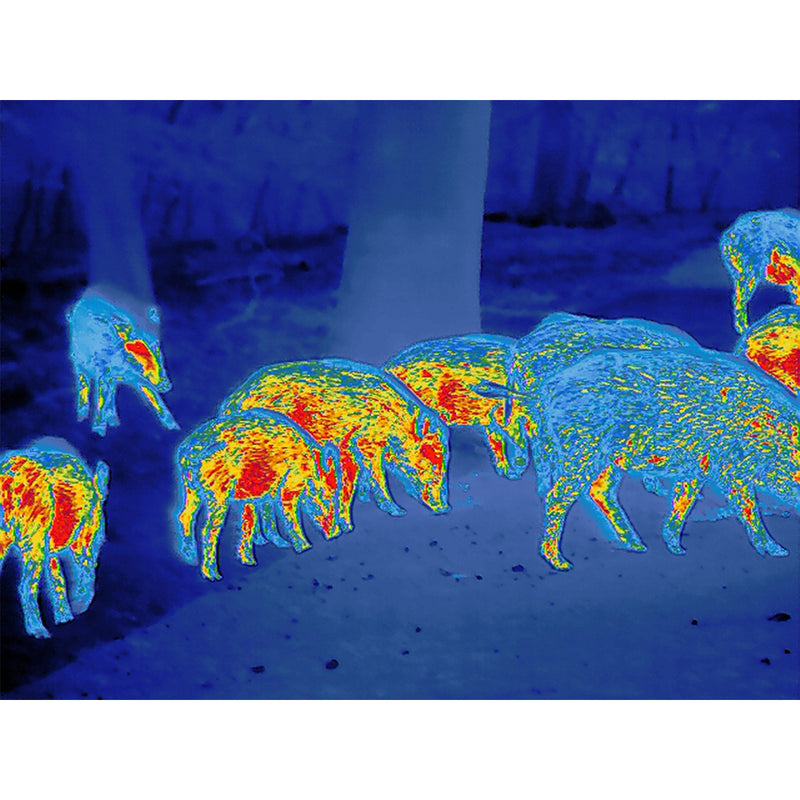 Zeiss DTI 4/35 Thermal Imaging Cameras-Optics Force