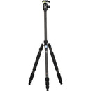 SIRUI W-2204K20 Carbon Fiber Tripod with K20X Ocean Runner Ball Head Kit-Optics Force