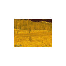 Burris Thermal Riflescope BTS35 640 v3