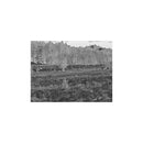 Burris Thermal Riflescope BTS35 640 v3