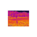 Burris Thermal Hand-held BTH35 v3