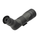 Leupold SX-2 Alpine HD Gen 2 20-60x60mm Angled Spotting Scope