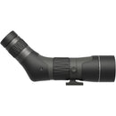 Leupold SX-2 Alpine HD Gen 2 20-60x60mm Angled Spotting Scope