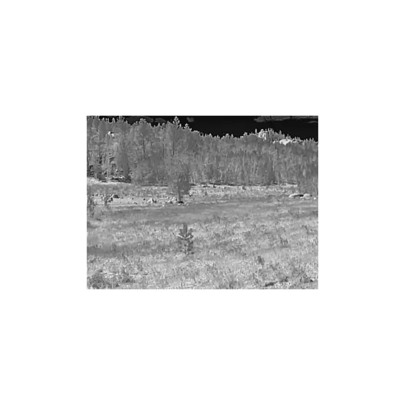 Burris Thermal Riflescope BTS35 640 v3